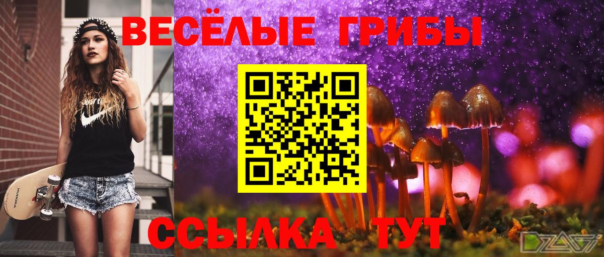 Батайск  Галлюциногенные грибы прущие грибы  Вход с VPN 